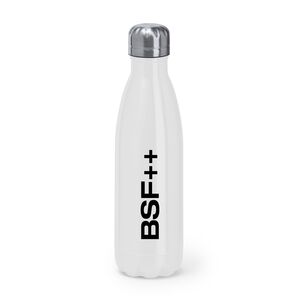 Standard Stainless Steel Bottle Thumbnail